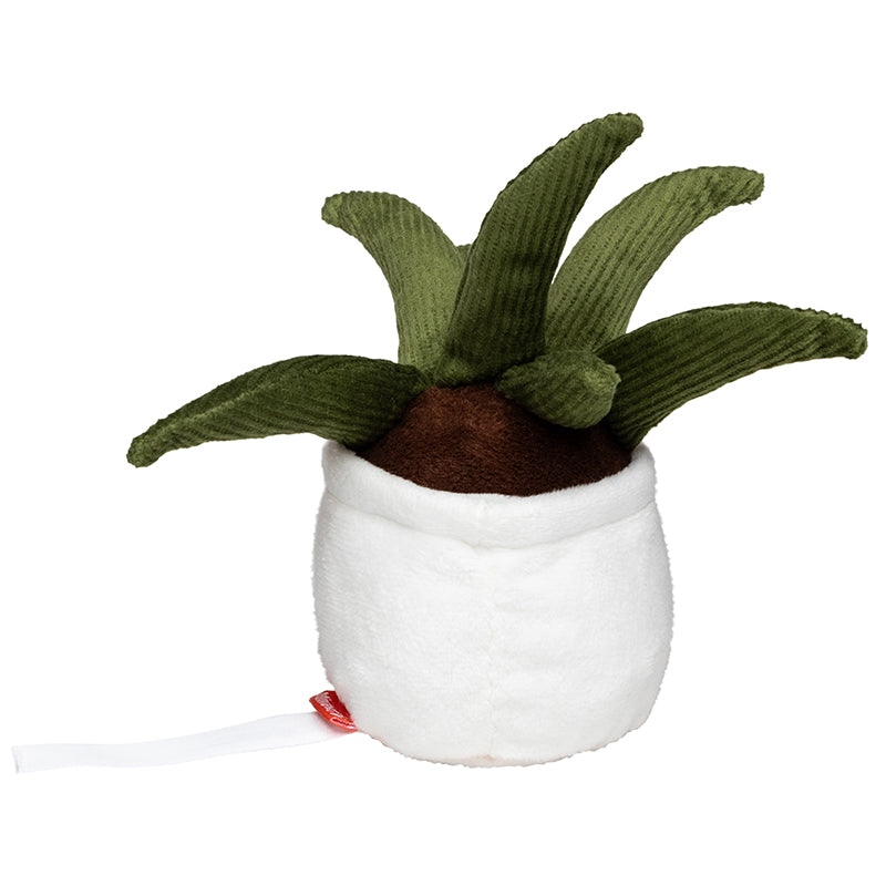 Peluche Schmoozie Aloe Vera  7 cm- Nettoyeur d'écran personnalisable sur étiquette